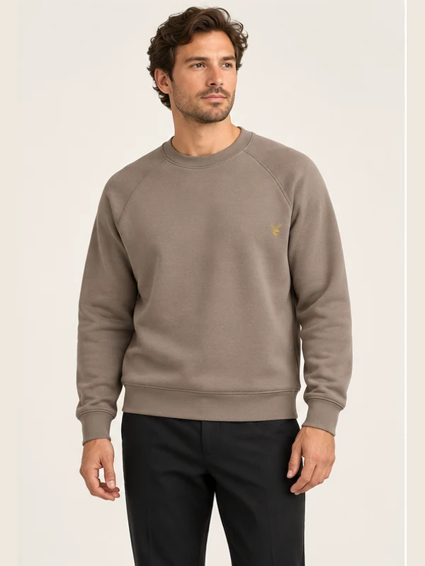 Men's Ease Raglan Sweatshirt — Taupe, On-model view