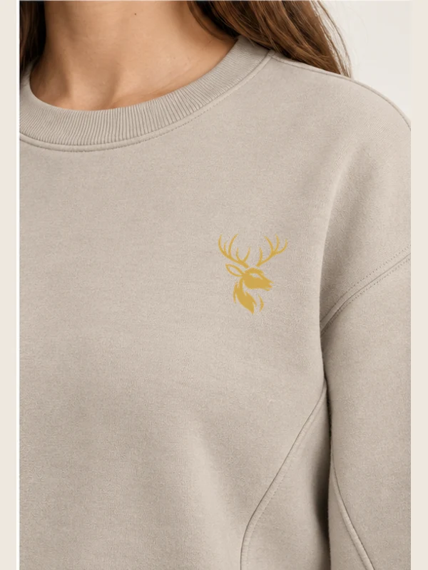 Women's Orbit Panelled Crewneck — Stone, Detail view
